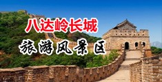 啊片网址中国北京-八达岭长城旅游风景区