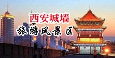 视频大鸡巴插进骚逼里中国陕西-西安城墙旅游风景区