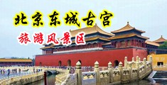 日老肥B中国北京-东城古宫旅游风景区